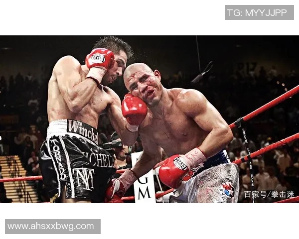 库托与马加里托的巅峰对决谁能在拳坛中脱颖而出