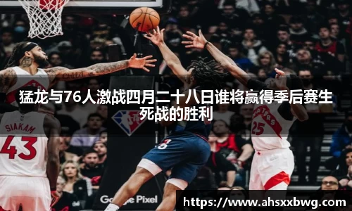 中欧体育