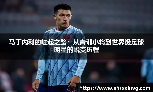 zoty中欧官网
